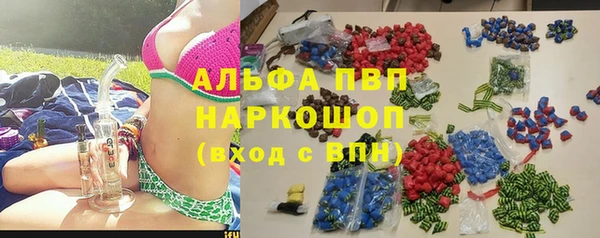 гидра Горнозаводск